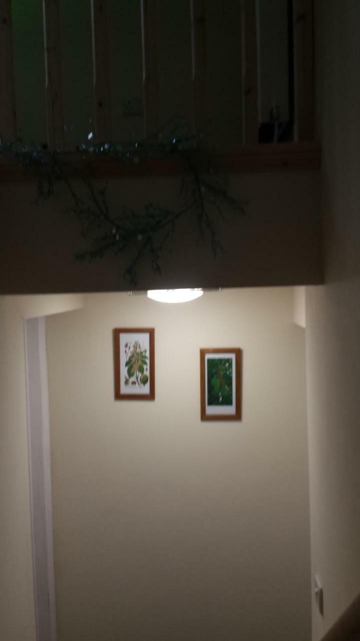 The Saracens Head The Conkera Apartment แชเปิลเซนต์เลนเนิร์ดส์ ภายนอก รูปภาพ
